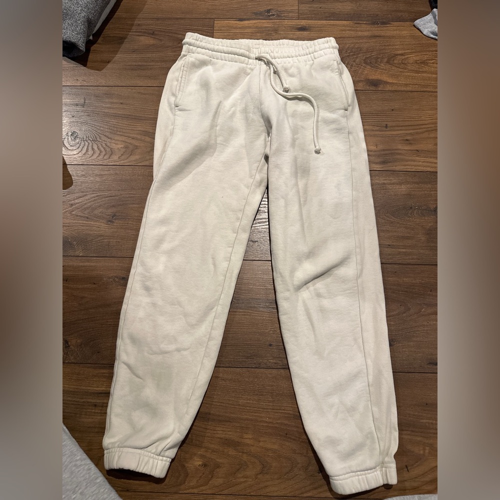 aritzia/tna sweat pants